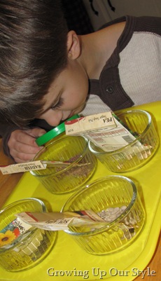 IMG_3197 IMG_3197