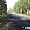 z Nietkowic do Będowa dsc06261.jpg