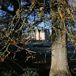 L'automne photoIMG_2595.jpg