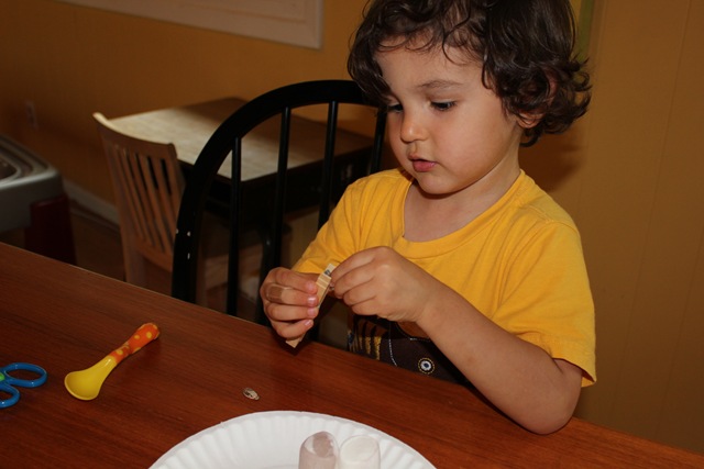[IMG_2962%255B4%255D.jpg]