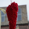 DSC01922.JPG