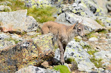 DSC_0311.JPG