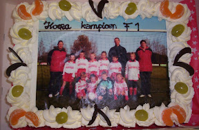 F1 Kampioen najaar 2007_00.jpg