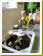 IMG_3302 IMG_3302