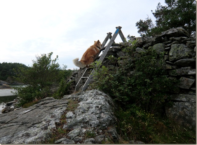 juli 2011 Sola og båtur 235