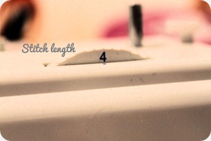 IMG_1726 IMG_1726