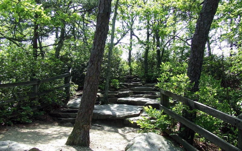 [DSCF90856.jpg]
