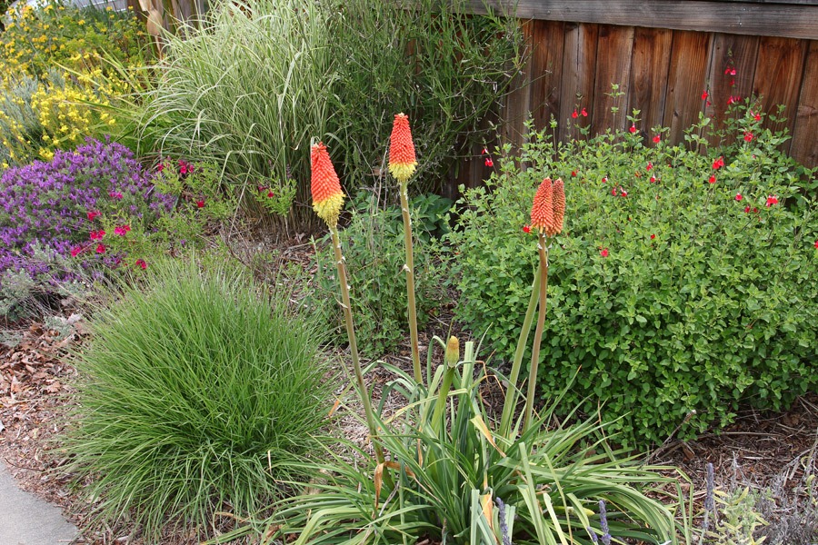 [120415_fy_pokers2.jpg]