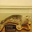hokkaido_518.jpg