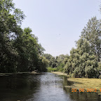 DSCN8374.JPG