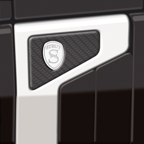 [Struts-2013-Range-Rover-13%255B3%255D.jpg]