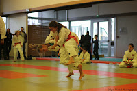 IMG_1219.jpg