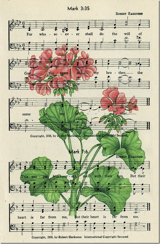 Geraniums on page