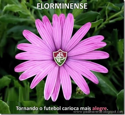 zuando-com-o-escudo-do-fluminense-florminense-simbolo
