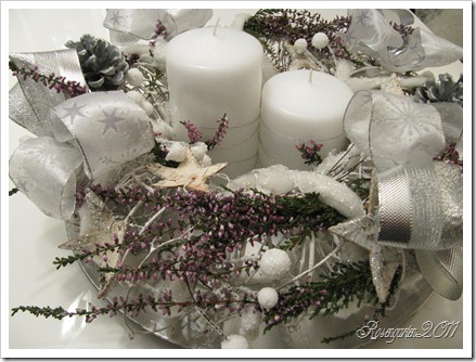 IMG_2581 IMG_2581