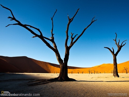 wallpapers national geographic desbaratinando (34) wallpapers national geographic desbaratinando (34)