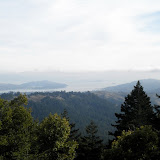 Mt. Tamalpais 1-9-11