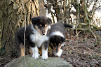 _DSC0017.JPG