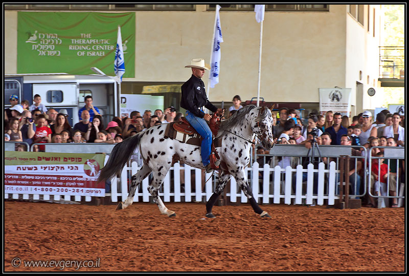 il/Фото: Stallion Show 2011 (20110416 stllion show 053 2179)