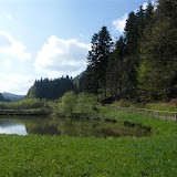 14.04.2011 Saarquelle und Ausflug
