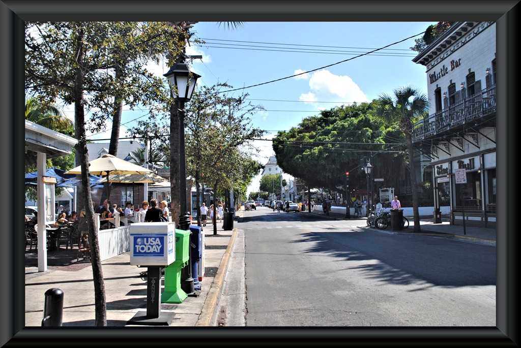 [DSC_00776.jpg]