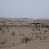 IMG_5328.JPG