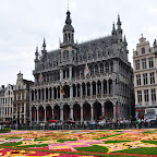 DSC_0013.jpg