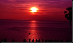 DSC_0722 DSC_0722