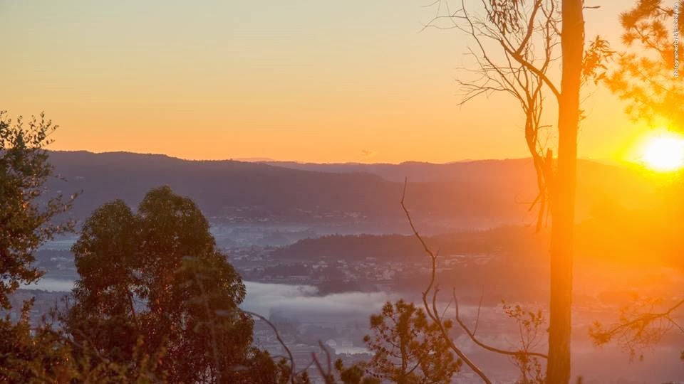 [nasceramigos%255B4%255D.jpg]