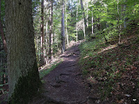 DSCN1003.JPG Photo