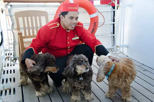 Новая Англия и Канада в круизе на Queen Mary 2 под жёлтым флагом, сентябрь 2013