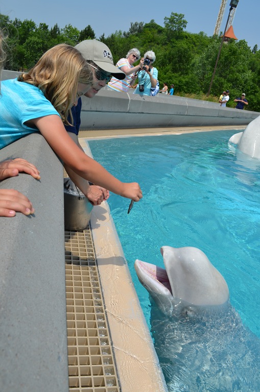 [DSC_1751%255B3%255D.jpg]