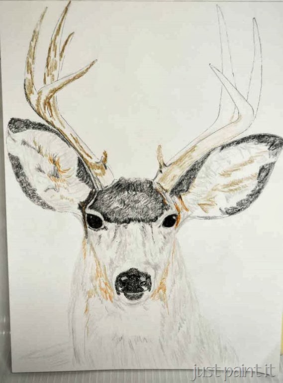 [Deerhead-Sketch-C%255B2%255D.jpg]