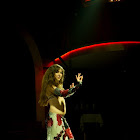 Document Name_3_272.JPG