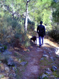 [foto0033%255B4%255D.jpg]