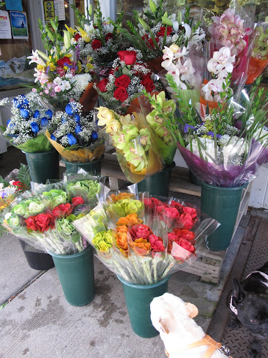 Oh, what pretty flowers outside of The Village Market!