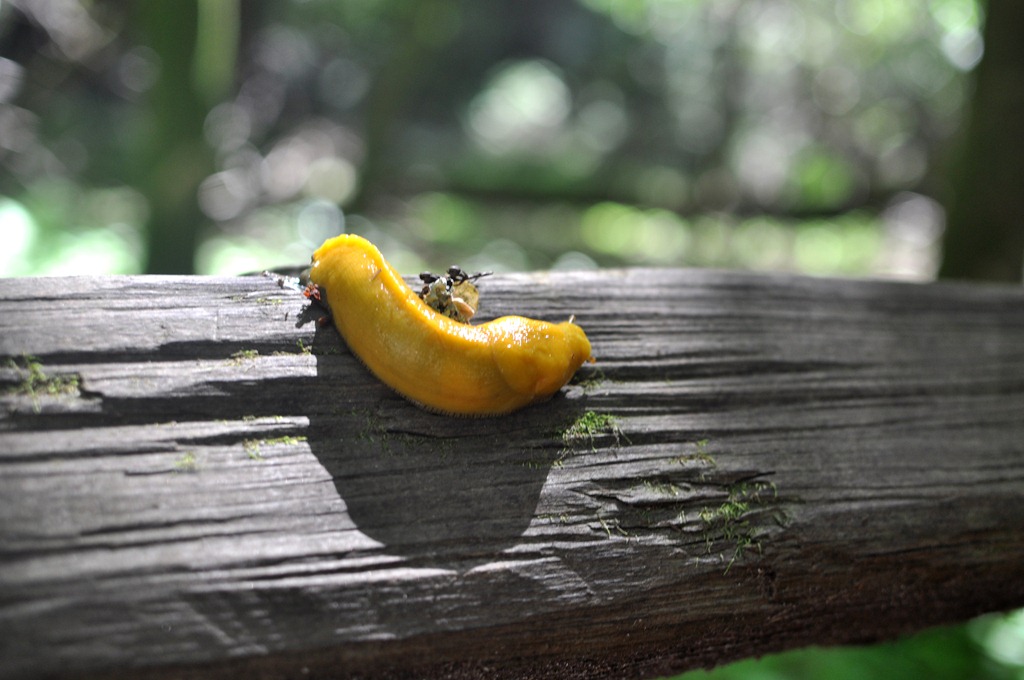 [DSC_6448_1%255B4%255D.jpg]