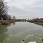 IMG_1515.JPG
