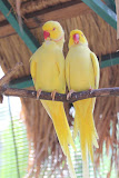 IMG_8475.JPG