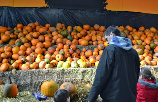 supra skytop pumpkin