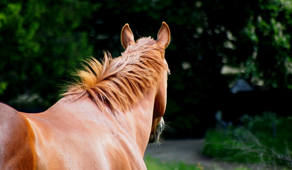 [4%2520June%25202%255B3%255D.jpg]