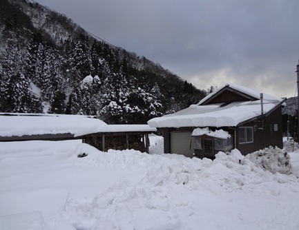 DSC00003 DSC00003