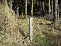 R0012426.JPG Photo
