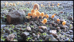 IMG_3665 IMG_3665
