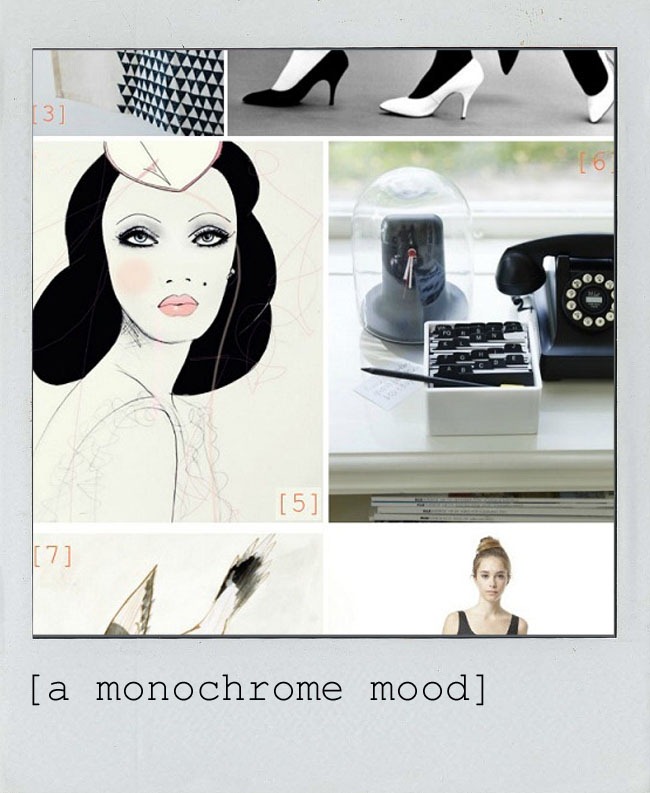 A Monochrome Mood polaroid