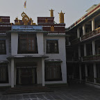DSC_8237.jpg