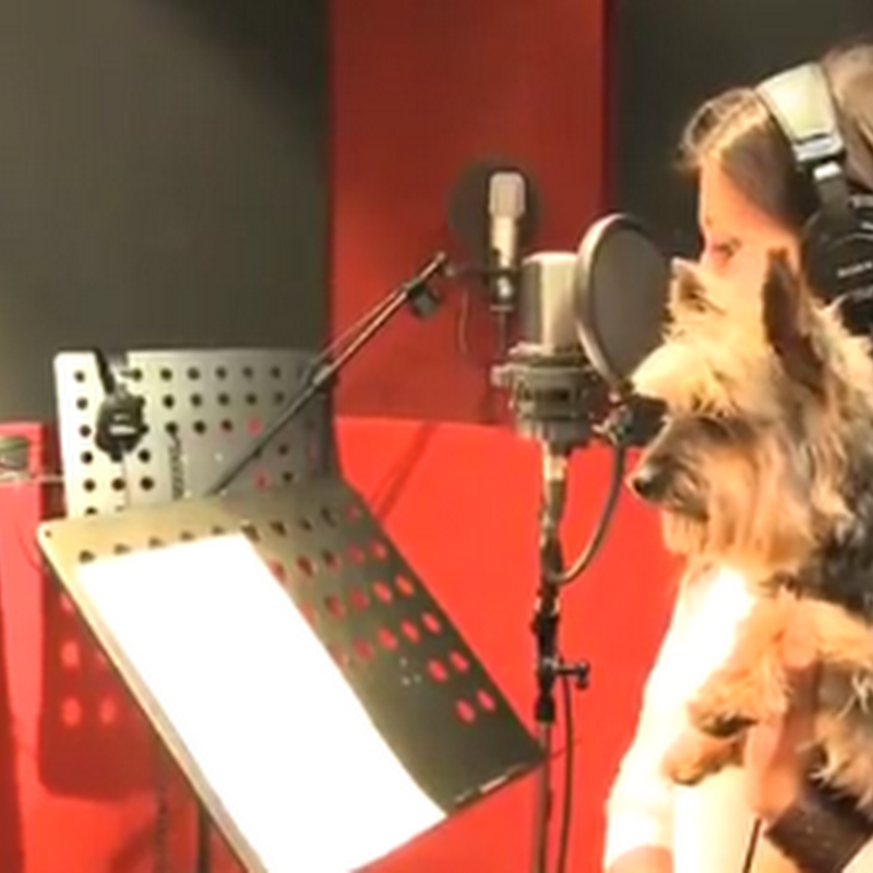 Pedigree crea la primer estación de radio para perros