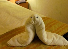 The Seal In Our Room