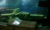 2011-11-07 11.32.51.jpg