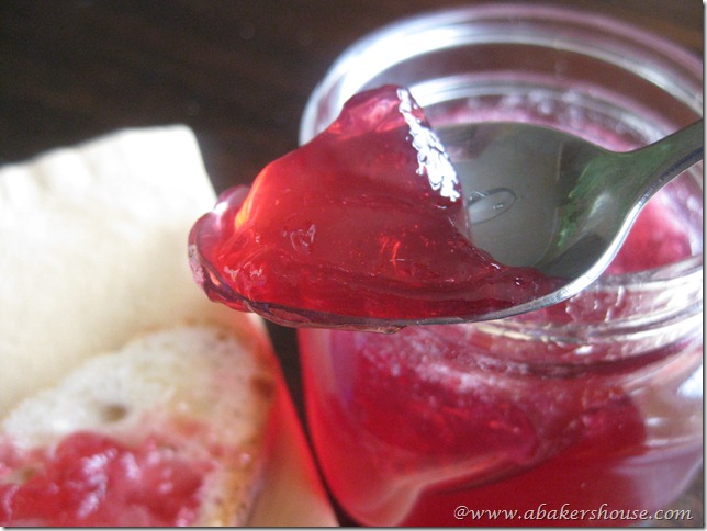 spoonful grape jelly spoonful grape jelly